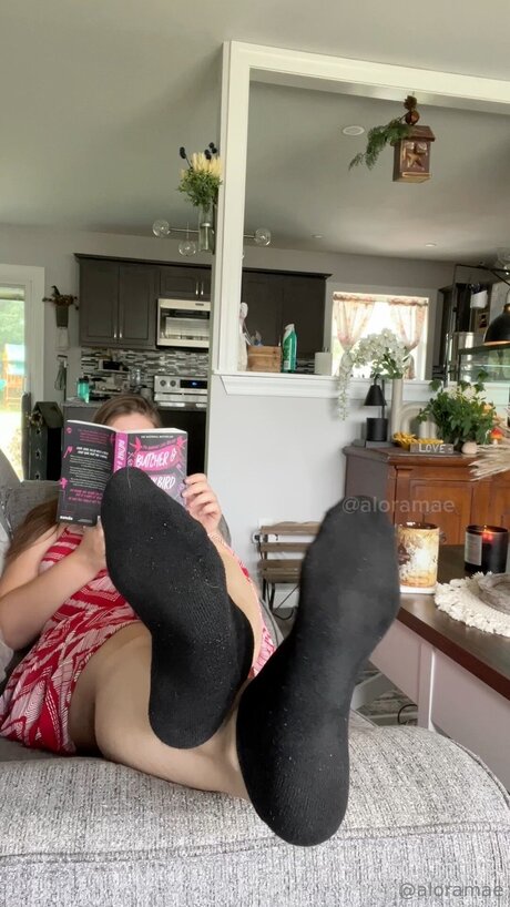 Aloramaescontentlibrary