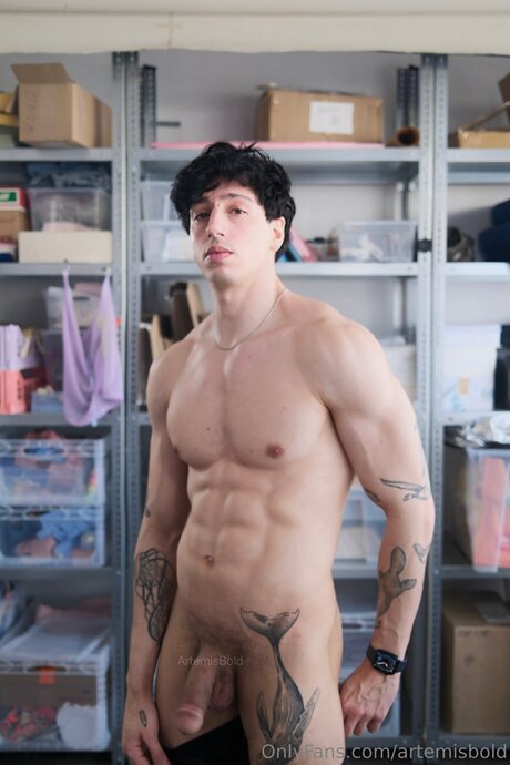 Artemisbold