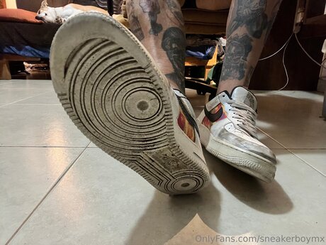Sneakerboymx