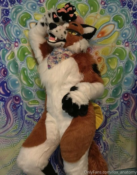 Foxanatomy