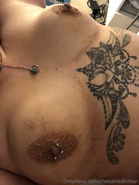Thetattedkitten