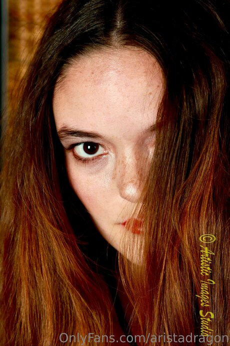 Aristadragon