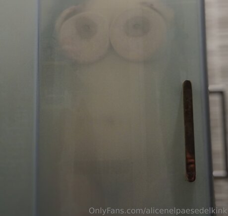 Alicenelpaesedelkink