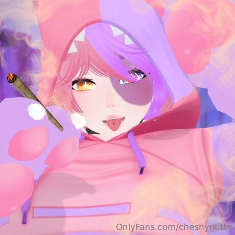 Cheshyrkitty