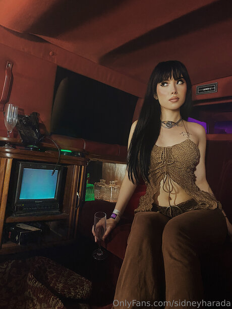 Sidneyharada