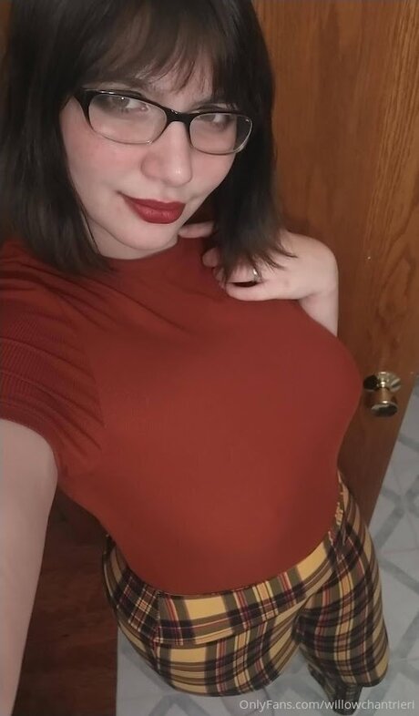 Willowchantrieri