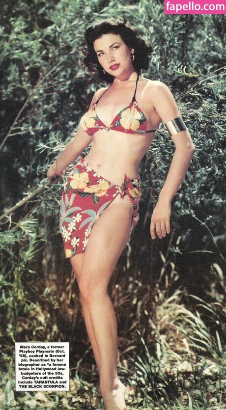 Vintage English Pinups