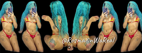 Rosmailin Artista Dominicana 