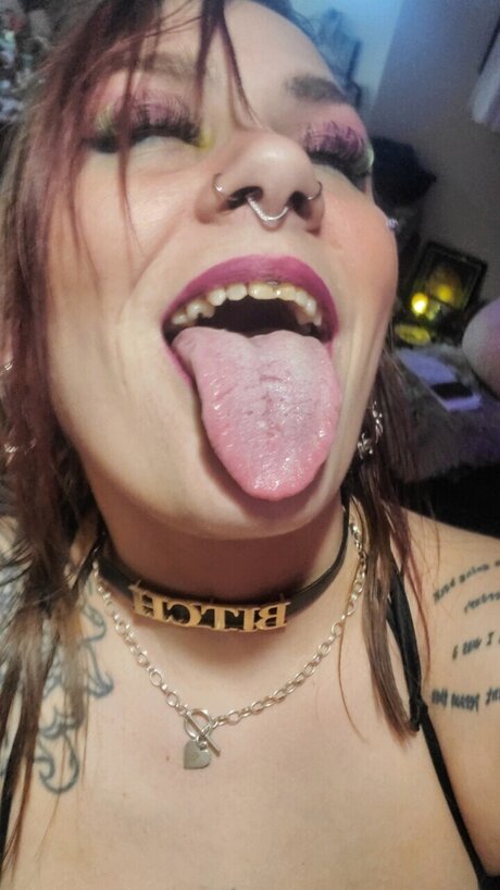 Stranger Than Fiction 