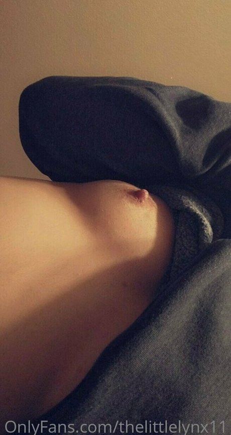 Thelittlelynx11