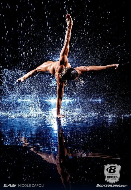 Bodybuildingcoms Bodieswork