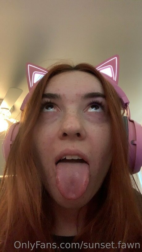 Sunsetfawn