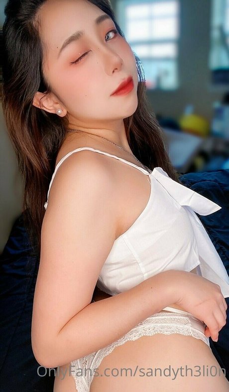 Sandyth3li0n