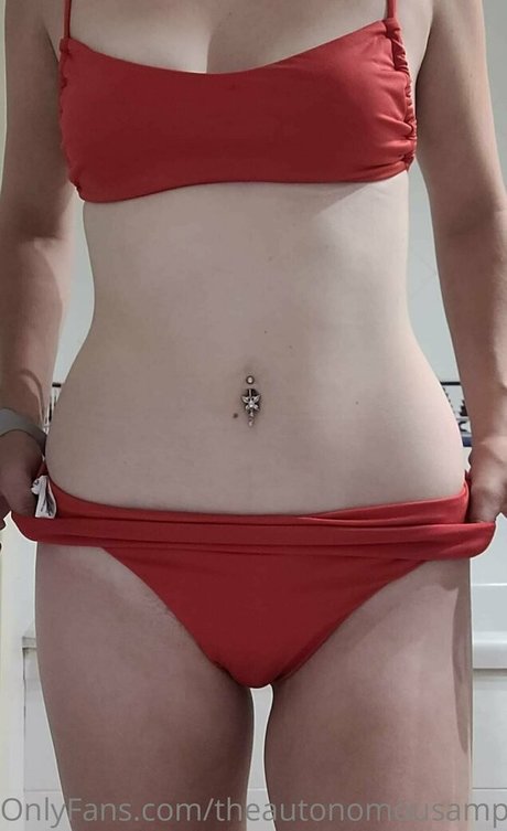 Theautonomousamputee2