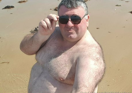 Bigdaddyvideos