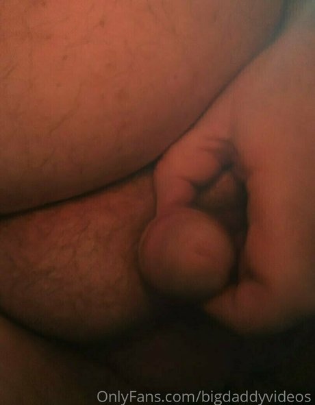 Bigdaddyvideos