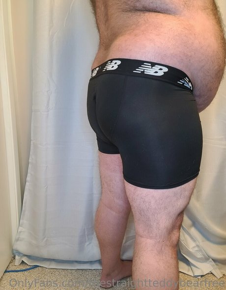 Thestraightteddybearfree