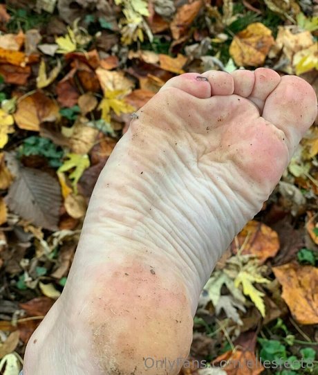 Ellesfeet8
