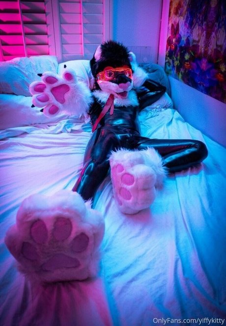 Yiffykitty