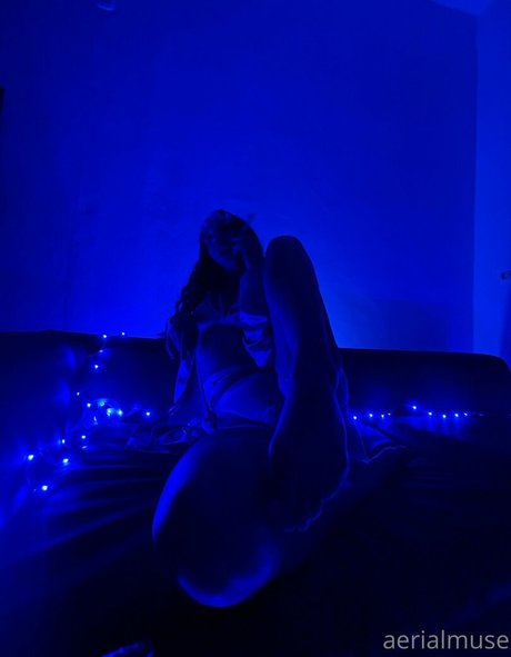 Aerialmuse