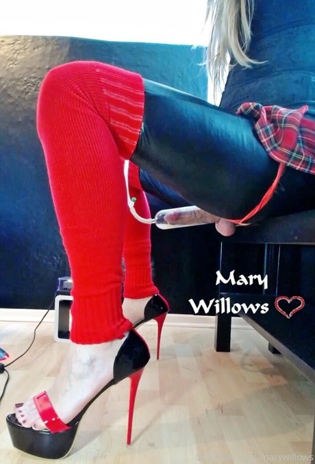 Marywillows