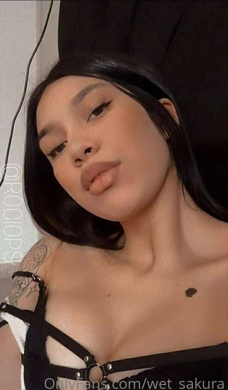 Wetsakura