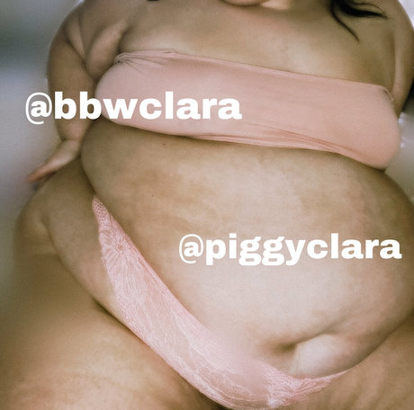 Piggyclara