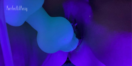 Purrfectlilpussy
