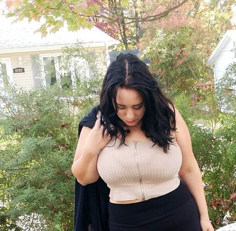 Lartdanstoutessesformes