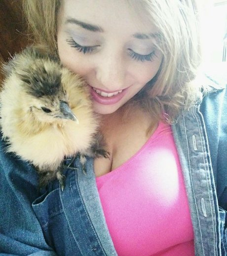 Lartdanstoutessesformes