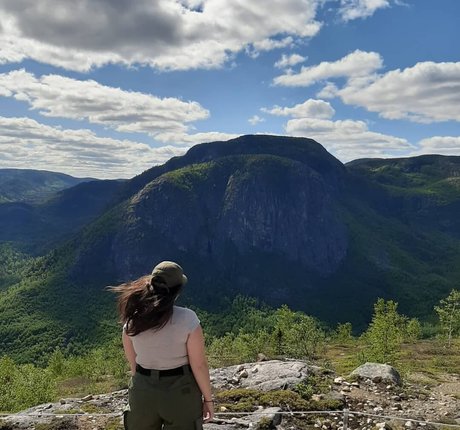 Lartdanstoutessesformes