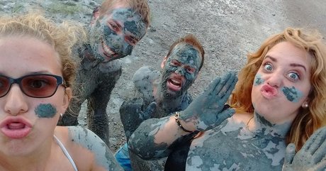 Lartdanstoutessesformes