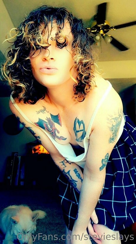 Stevieslays