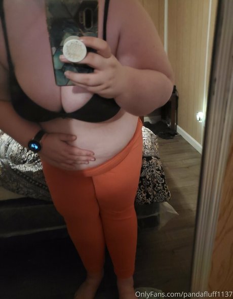 Pandafluff1137