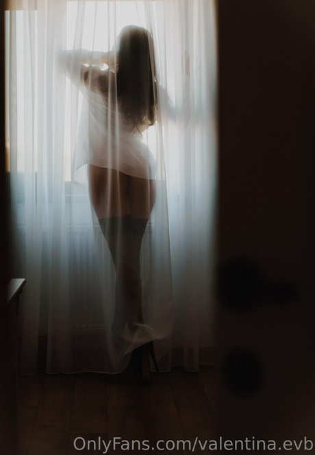 Valentinaevb