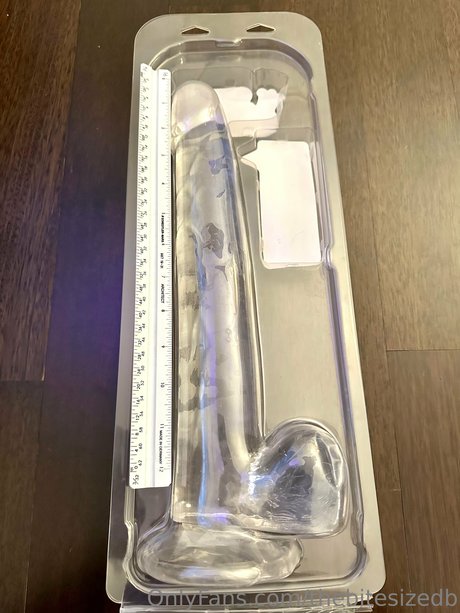 The Bite Sized Bitch