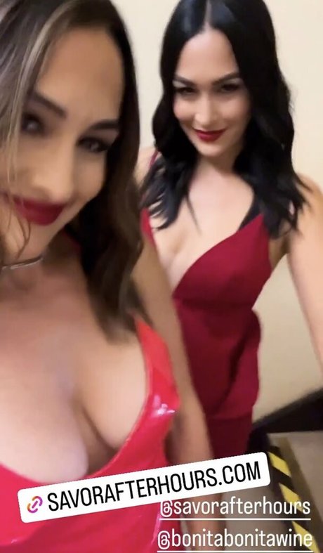 The Bella Twins