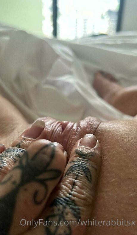 Whiterabbitsx