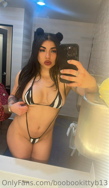 Boobookittyb13
