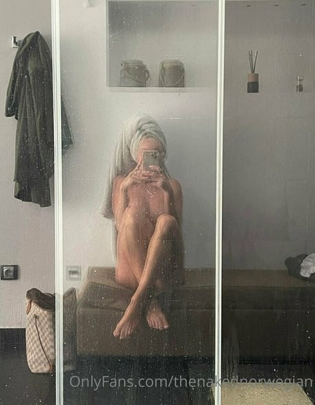 Thenakednorwegian