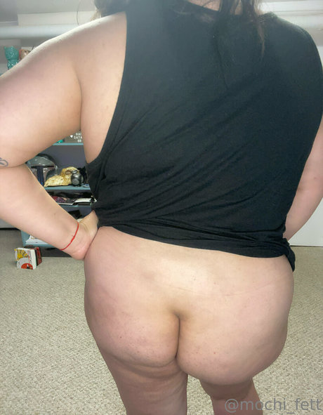 Mochifett