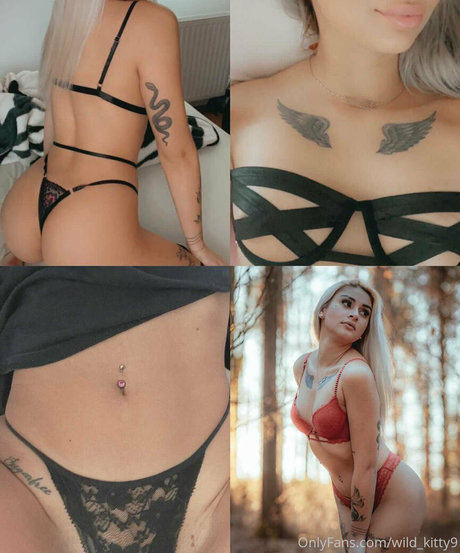 Wildkitty9