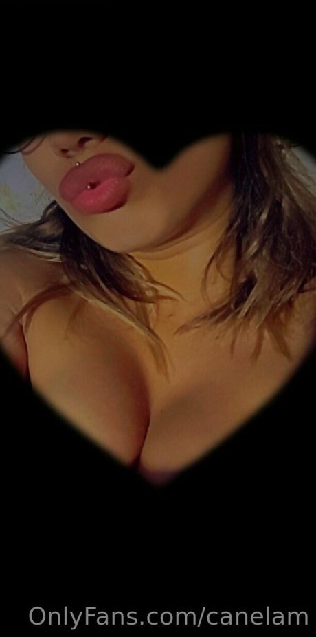 Canelam