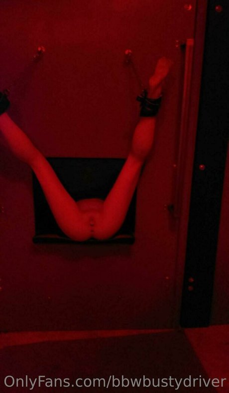 Bbwbustydriver