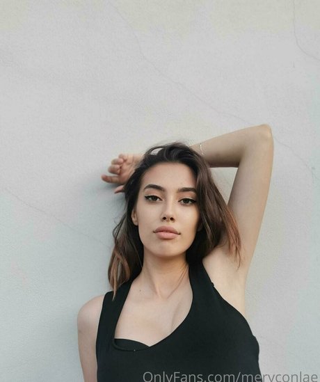 Meryconlae