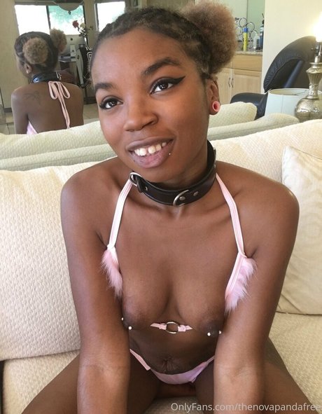 Thenovapandafree