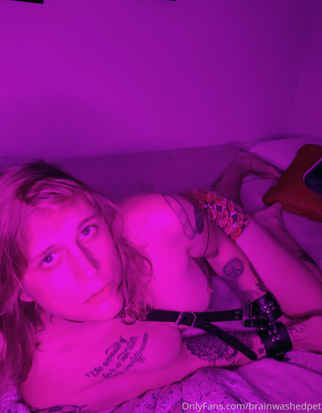 Brainwashedpet