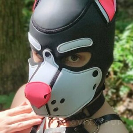 Vixxypup