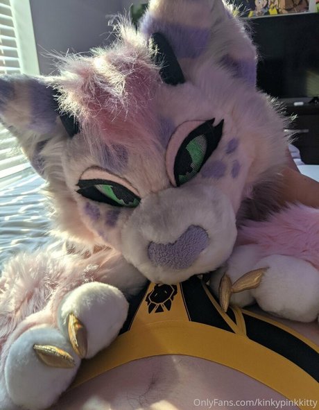 Kinkypinkkitty