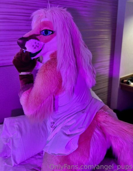 Angelpups